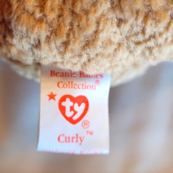 Curly Beanie Baby Retired Bear NWT Rare Edition with Multiple Tag Errors - Picture 7 of 8